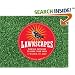 Lawnscapes: Mowing Patterns to Make Your Yard a Work of Art
