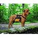 Kurgo 00028 Wander Pack Dog Backpack