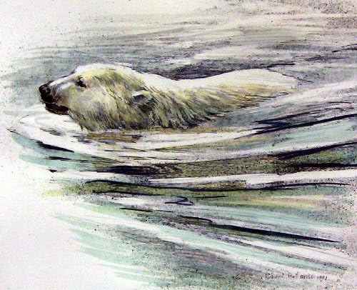 Robert Bateman - Polar Bear Swimming Predator Portfolio Hand Colored