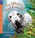 See What a Seal Can Do: Read and Wonder