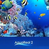 Aqua Real 2 [ダウンロード]