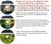 The Best How To Earn Extra Money, Marketing and Su...