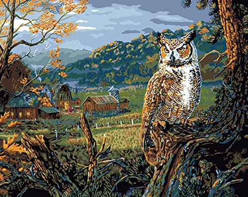 Plaid Creates Paint by Number Kit (16 by 20-Inch), 21799 Edge of The Night Art