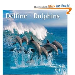 Delfine - Dolphins 2012. Trends & Classics Kalender