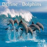 Produkt-Bild: Delfine - Dolphins 2012. Trends & Classics Kalender
