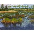 Florida Marsh Trail by Lisa Zook - 24 x 18