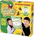 Insect Lore