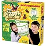 Insect Lore