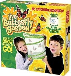 Live Butterfly Garden