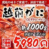 越前がに（ベニズワイ）極大サイズ（約1000g〜）【浜茹で（ボイル）】