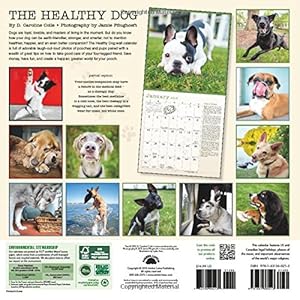 The Healthy Dog 2016 Wall Calendar