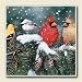Backyard Birds in Winter, Set of 4 Ceramic Coasters
