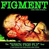 Figment