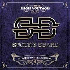 Live at High Voltage 2011