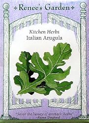 Arugula Italian Variety Heirloom Seeds 250 Seeds