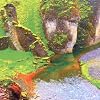 Rainforest