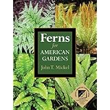 ferns for american gardens