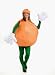 Fruit (Orange) Adult Halloween Costume Size Standard