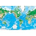 World Map Wall Mural - 8'8"x13'0"
