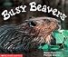 Book Busy Beavers (Emergent Readers)