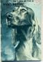 How to Raise and Train an Irish Setter (How to Raise & Train)