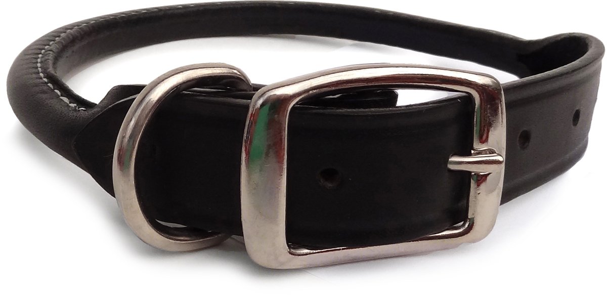 Top 5 Rolled Leather Dog Collars