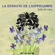 La d�route de l'hippocampe