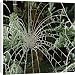 Canvas Prints of Hoar frost on spiders web, Surrey, England, United Kingdom, Europe from Robert Harding