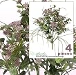 FOUR 20" Queen Ann's Lace Artificial Silk Flower Bushes