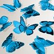 Butterfly 3D Translucent Decoration 12 AQUA Butterflies