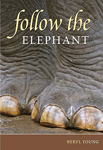 Follow the Elephant: 1st