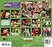 Disney the Muppets Most Wanted Wall Calendar (2015)