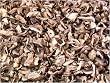 Champignon (White Button) Mushroom Kibbles