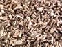 Champignon (White Button) Mushroom Kibbles