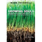 Growing Souls: Experiments in Contemplative Youth Ministry book cover