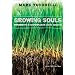 Growing Souls: Experiments in Contemplative Youth Ministry