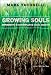 Growing Souls: Experiments in Contemplative Youth Ministry