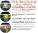 The Fantastic Make An Extra Income, Success Principles and eCommerce for Hair Straightening Serum On-line Businesses 3 CD Course