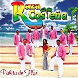 Raza Costena Palito De Flor