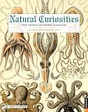 Natural Curiosities: The Prints of Ernst Haeckel 2015 Boxed Posters Calendar: 12 Poster Calendars for 2015