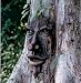 On Sale !! The Spirit of Nottingham Woods Tree Scul...