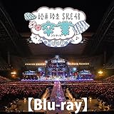 松井玲奈・SKE48卒業コンサートin豊田スタジアム~2588DAYS~ [Blu-ray]