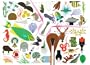 Charley Harper's Animal Kingdom