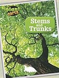 Stems and trunks