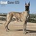 Great Dane (US) Calendar - Just Great Dane (US) Calendar - 2015 Wall calendars - Dog Calendars - Monthly Wall Calendar by Avonside