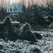 Murmur [VINYL]