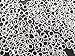 500 Pack - CleverDelights 4mm Jump Rings - Shiny Silver Color - 21 Gauge (.7mm Thick)