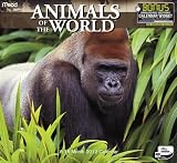 2012 Animals of the World Wall Calendar