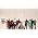 Thumbnail image of Glee Cast