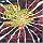 THANKS 25TH ANNIVERSARY LOUDNESS LIVE AT INTERNATIONAL FORUM 20061125 [DVD]